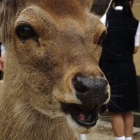 Nick Tiller (@ntcomplete) 's Twitter Profile