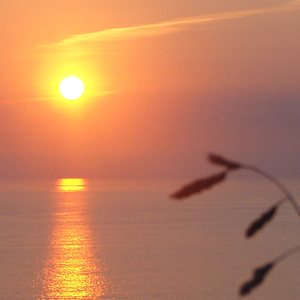 Twittering about beautiful Cornwall in the South West of Britain.