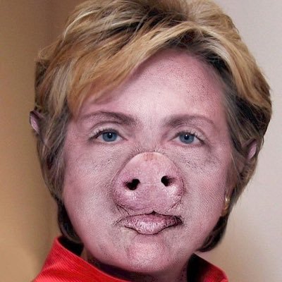 Former Secretary of State of USA. I used my private email. Benghazi was my fault. I won the popular vote. I’ve told more lies than Bill’s had affairs. Parody