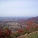 sharon singletary - @sharons944 - Twitter