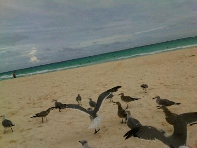 ROSALBARODRIG12's profile picture. 