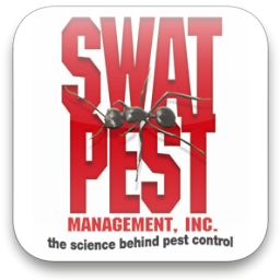 SWATPESTEVV's profile picture. The BUG MAN of Evansville, IN