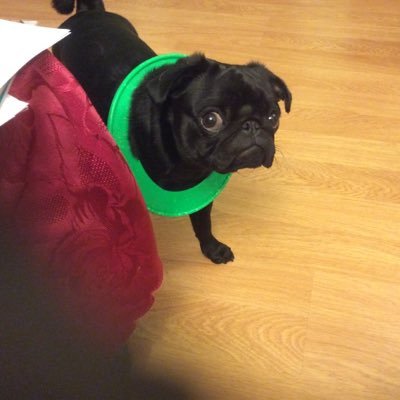 janetskinner64's profile picture. 