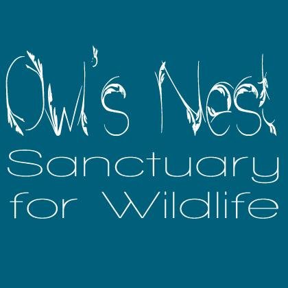 Owl’s Nest Sanctuary for Wildlife is a non-profit working to protect & conserve native Florida wildlife while inspiring others to care & appreciate it.