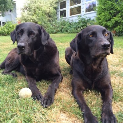 CGigs99's profile picture. Family, music, running, baseball, travel