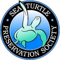 STPS(@SeaTurtlePS) 's Twitter Profile Photo