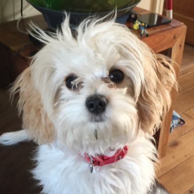 Nishma45's profile picture. #youaintnomuslimbruv