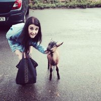 Rachel Sharples (@sharplesrachel) 's Twitter Profile