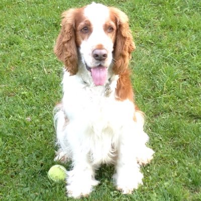 craigcooper1965's profile picture. 