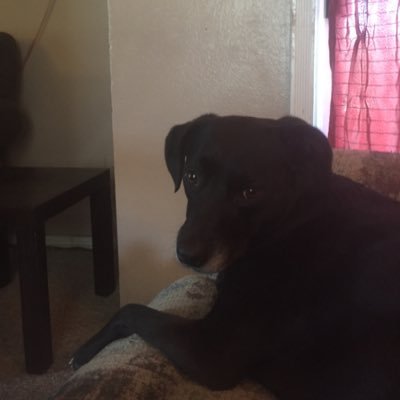 stewart87SD's profile picture. 