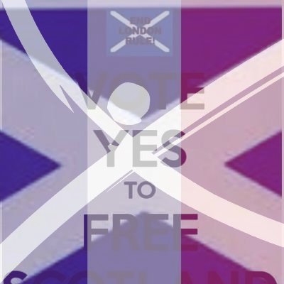 TerryPinner's profile picture. free scotland