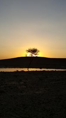 مسلم عربي أصيل. حر. أحب اصحاب المبادئ والمثل العليا.. بسيط.. هاوي للطبيعة والسفر..اقدر الأوفياء والكرماء.. أعيش في عالمي الخاص بعيدا عن الصخب والضجيج والحماقات