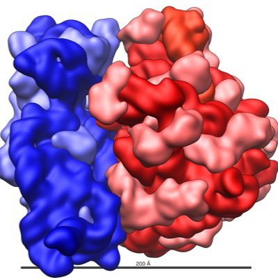 voteribosomepd3's profile picture. Need proteins fast? Ribosomes will be there in a flash! VOTE RIBOSOME at pd.3 for the title of Most Important Organelle!