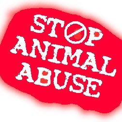 End Animal Cruelty (@AnimalAid_) / Twitter
