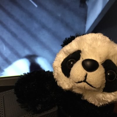 I'm a baby panda who luvs panda cams, painting, and making moobies! ChiChi & CoCo are my family (and Unka Ernie). Pandas are pure luv & we luv to show it!