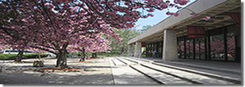 Plainfield Public Library in Plainfield, NJ.