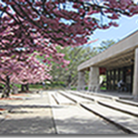 Plainfield Library (@plainfieldpl) 's Twitter Profile