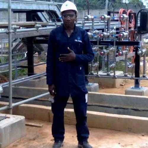 CEO of multiplexer extol energy LTD. Oil & Gas, & general contractors/ economics planing & logistic. Base in PH