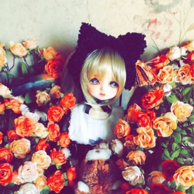 donut0v0's profile picture. 成人済/中国語/ドール/腐向