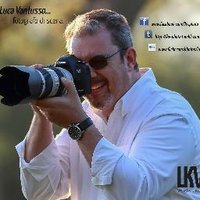 Luca Vantusso (@lkv_photo) 's Twitter Profile