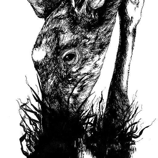 LineOrciere's profile picture. 