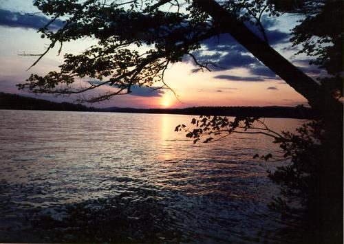 leiajoiner's profile picture. 