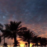 هدى العبدالعزيز (@hudaalfaleh0) Twitter profile photo