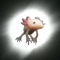 正真正銘のナンバー3 (@keychinchin) 's Twitter Profile
