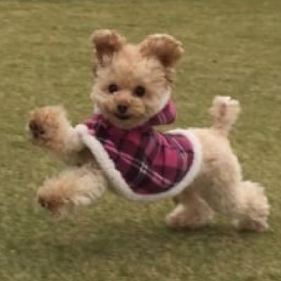 MNMNEED's profile picture. CJ→FWU国教