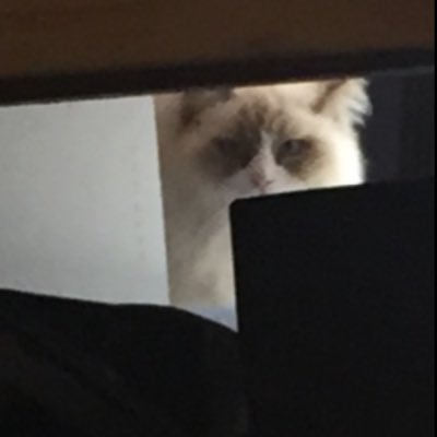 saler011's profile picture. 