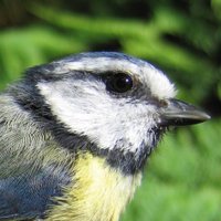 Ian Hartley (@ianrhartley) 's Twitter Profile