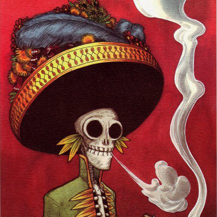 mloliee's profile picture. Software Engineer