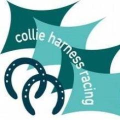 Collie Harness Profile