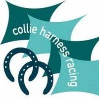 Collie Harness (@collieharness) 's Twitter Profile