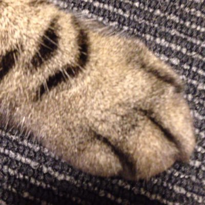 mikayuki0927's profile picture. 