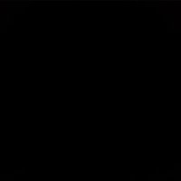 JPalmieri5 (@joe_palmieri_5_) 's Twitter Profile