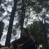 Holden White (@holden_white) 's Twitter Profile