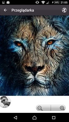 Ankoriaa's profile picture. 