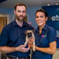 Barnsley Vets4Pets (@barnsleyv4p) 's Twitter Profile