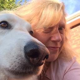 Writer. Contemporary fiction. Owned by Kai and Tia (sled dogs) and Tigger-with-no-stripes (cat). #amwriting #NaNoWinner2019. #WritingCommunity