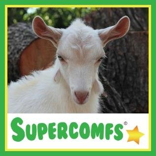 supercomfs Profile Picture