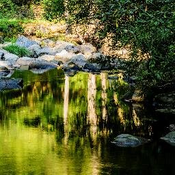 tynerfunny's profile picture. I try to tweet funny