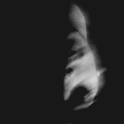 lollobianki's profile picture. 