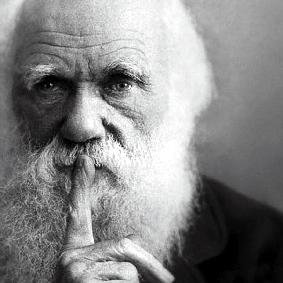 inmunosapiens's profile picture. Inmunosapiens es un sitio de educación sobre inmunología y su relación con otras áreas de la ciencia y las humanidades.