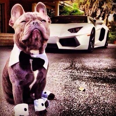 SIQHomes's profile picture.