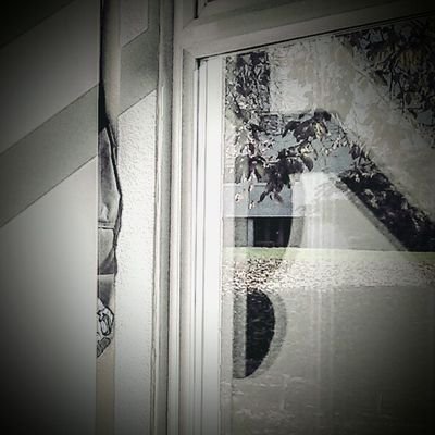 AdamGreenhill's profile picture. 