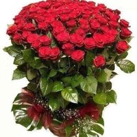 Hchhhch Hvgf (@4f9d0cd957bc478) Twitter profile photo