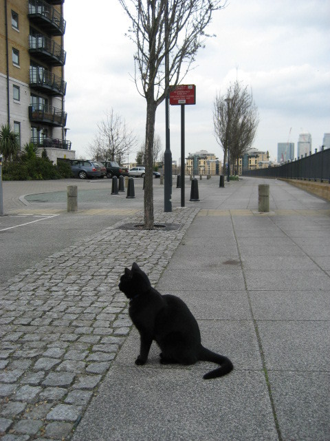 Millennium Quay is a great place to live on the riverside in Royal Greenwich, London SE8, on the border with Deptford. This account on X is no longer active.