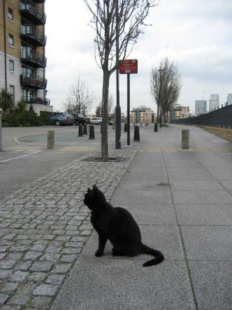 Millennium Quay is a great place to live on the riverside in Royal Greenwich, London SE8, on the border with Deptford.