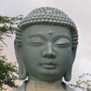 peter sharp - @dragonbuddha2 - Twitter